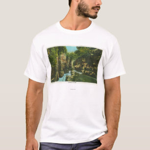 View of Ausable Chasm T-Shirt