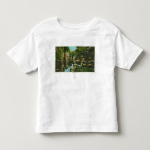 View of Ausable Chasm Toddler T-Shirt