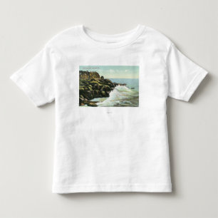 View of Bald Head Cliff Toddler T-Shirt