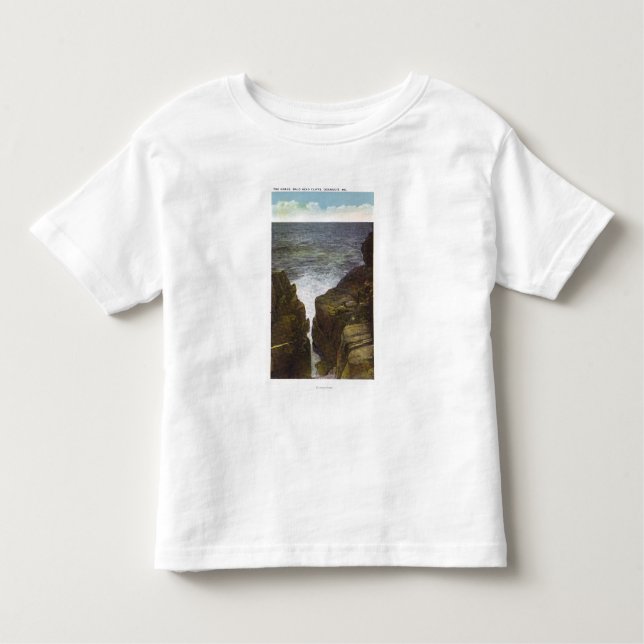 View of Bald Head Cliffs, the Gorge Toddler T-Shirt (Front)