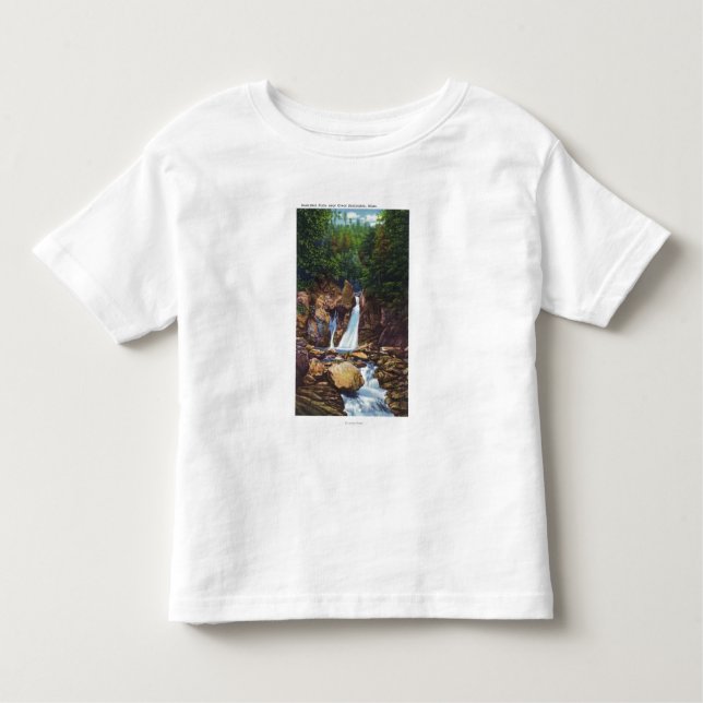 View of Bash-Bish Falls near Great Barrington Toddler T-Shirt (Front)