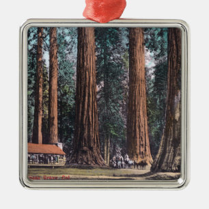 View of Big Trees in Mariposa Grove Metal Ornament