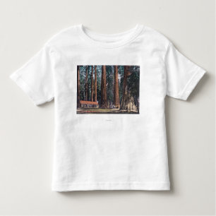View of Big Trees in Mariposa Grove Toddler T-Shirt