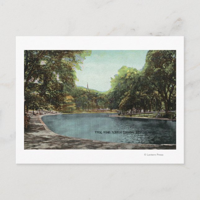 View of Boston Common Frog Pond # 2 Postcard (Front)