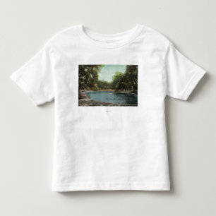 View of Boston Common Frog Pond # 2 Toddler T-Shirt