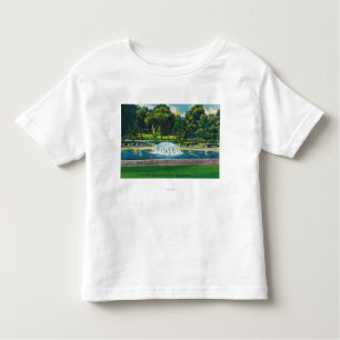 View of Boston Common Frog Pond Toddler T-Shirt