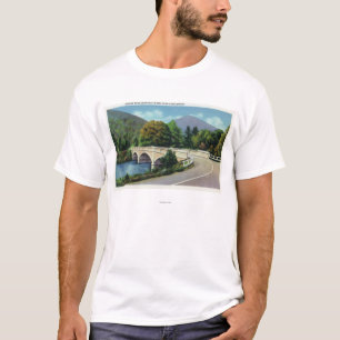 View of Bridge over the Deerfield River T-Shirt