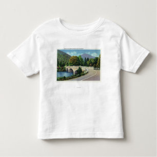 View of Bridge over the Deerfield River Toddler T-Shirt