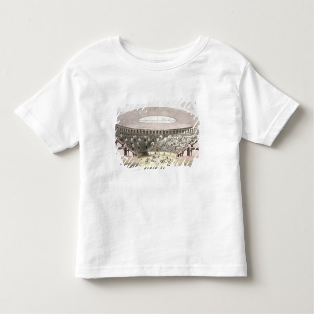 View of Caesar's Amphitheatre (colour litho) Toddler T-Shirt (Front)