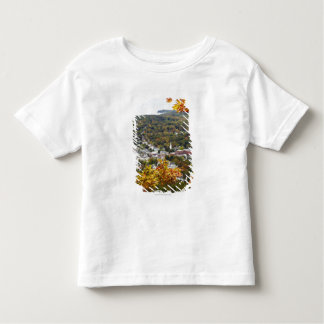 View of Camden Hills State through Fall Trees Toddler T-Shirt