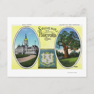 View of Capitol Bldg and Oak Tree Postcard