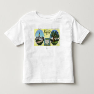 View of Capitol Bldg and Oak Tree Toddler T-Shirt