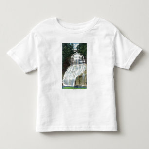 View of Chequagah Falls Toddler T-Shirt