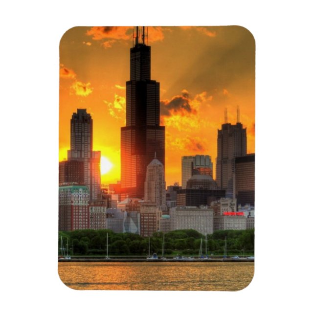 View of Chicago's skyline from  Adler Magnet (Vertical)