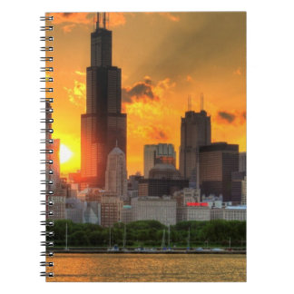 View of Chicago's skyline from Adler Notebook