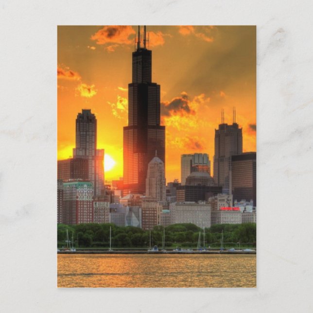 View of Chicago's skyline from  Adler Postcard (Front)