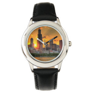 View of Chicago's skyline from Adler Watch