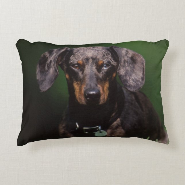 View of Dapple coloured Dachshund Decorative Cushion (Front)