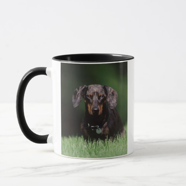 View of Dapple coloured Dachshund Mug (Left)