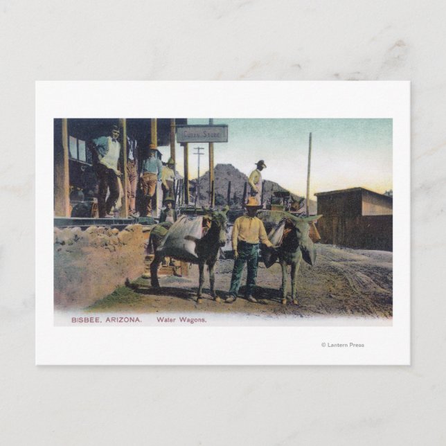 View of Donkeys Carrying WaterBisbee, AZ Postcard (Front)