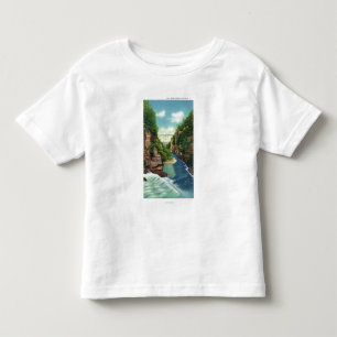 View of Fall Creek Gorge Toddler T-Shirt
