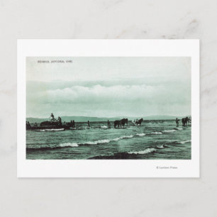 View of Fishermen Seine Fishing, Horse Carts Postcard