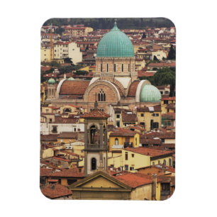 View of Florence, Italy from Piazza Magnet