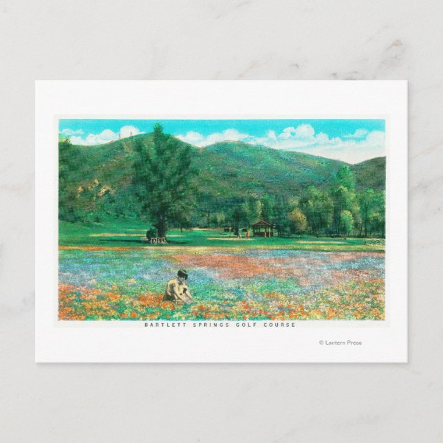 View of Flowering Field Postcard (Front)