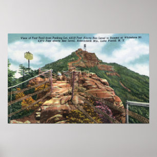 View of Foot Trail to Summit Poster