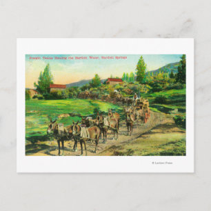 View of Freight Teams Hauling Bartlett Water Postcard