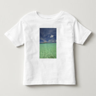 View of Funadoo Island from Funadovilligilli 2 Toddler T-Shirt