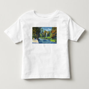 View of Geyser Park Toddler T-Shirt