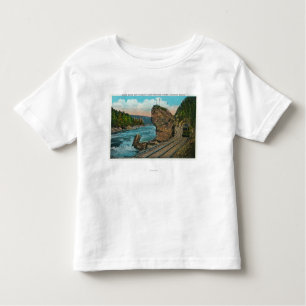 View of Giant Rock and Trolley Line through Toddler T-Shirt