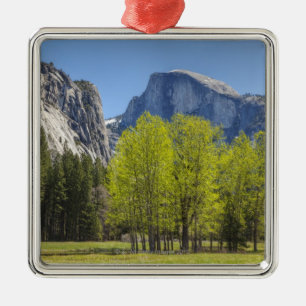 View of Half Dome Metal Ornament