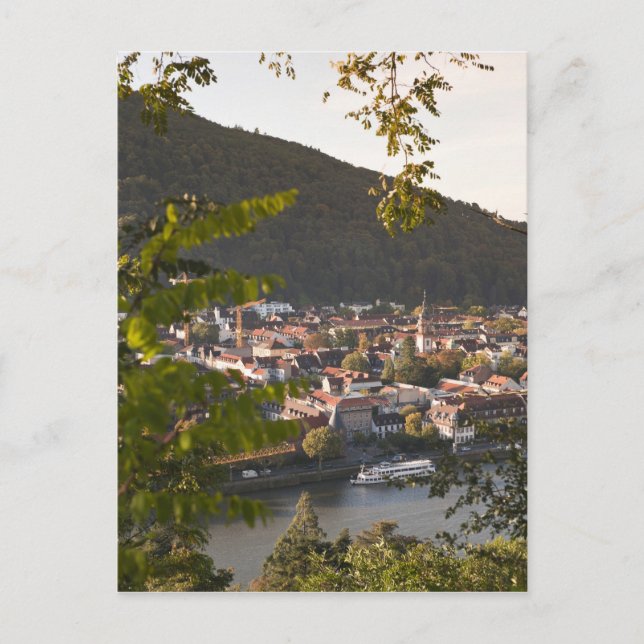 View of Heidelberg's Old Town Postcard (Front)