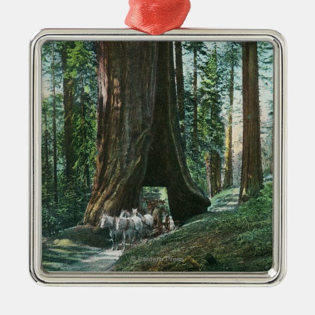View of Horse Carriage Under Wawona Tree Metal Ornament (Front)