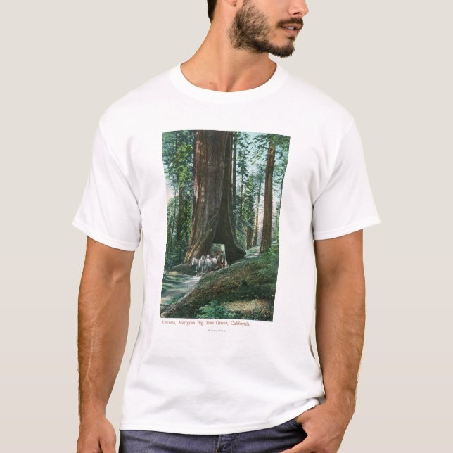 View of Horse Carriage Under Wawona Tree T-Shirt (Front)