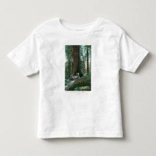 View of Horse Carriage Under Wawona Tree Toddler T-Shirt