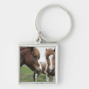 View of Horse, close-up Key Ring