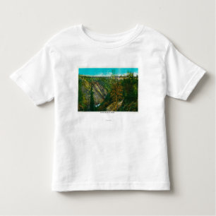View of Hurricane Gulch Bridge, Alaska Toddler T-Shirt