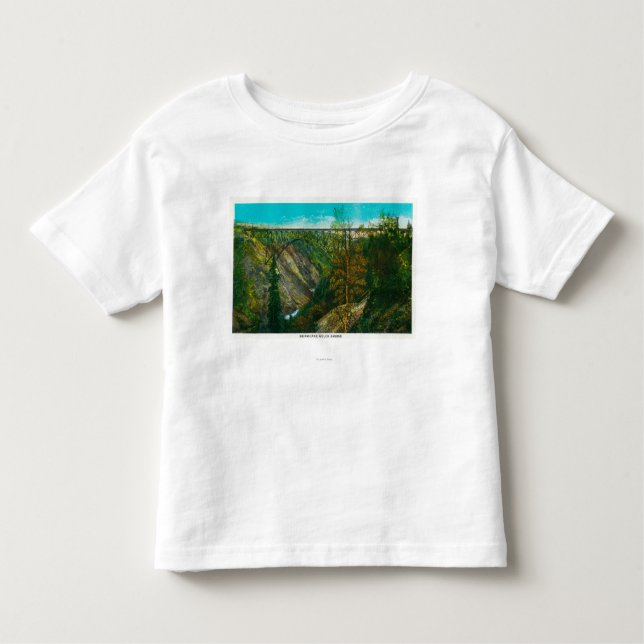 View of Hurricane Gulch Bridge, Alaska Toddler T-Shirt (Front)