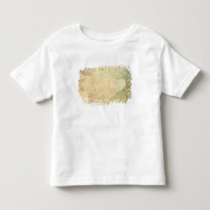 View of Istanbul Toddler T-Shirt