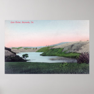 View of Lake ChabotHayward, CA Poster