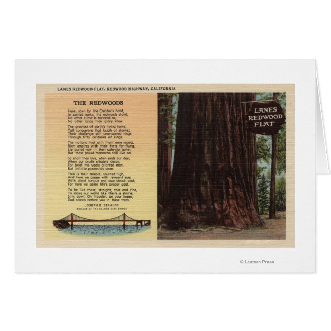 View of Lanes Redwood Flat (Front Horizontal)