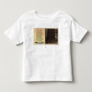 View of Lanes Redwood Flat Toddler T-Shirt
