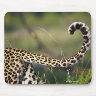 View of Leopards tail (Panthera pardus), Mouse Pad