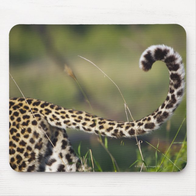 View of Leopards tail (Panthera pardus), Mouse Pad (Front)