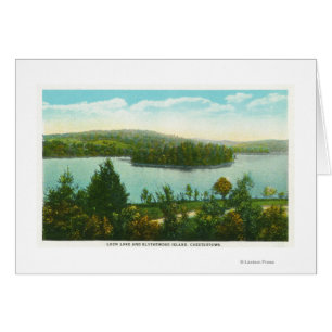 View of Loon Lake and Blythewood Island