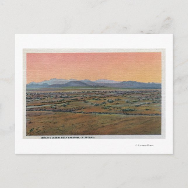View of Mohave Desert Postcard (Front)