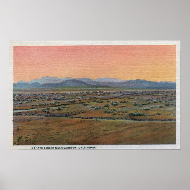 View of Mohave Desert Poster (Front)